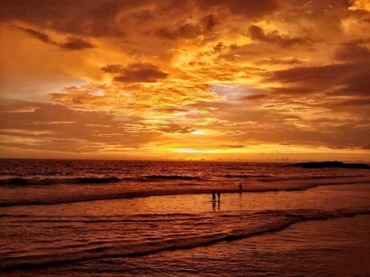 The Ocean Park Beach Resort Kovalam Dış mekan fotoğraf